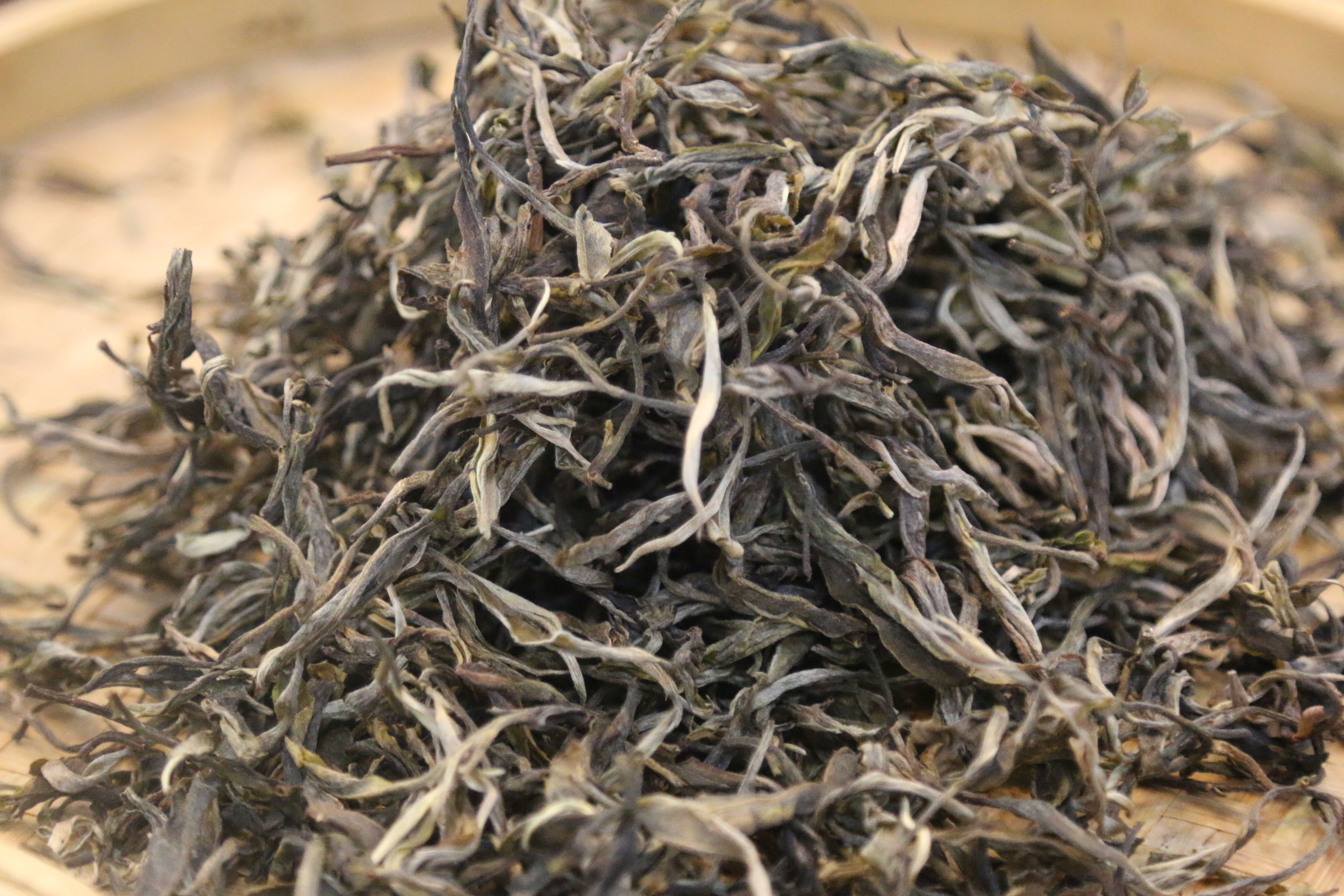 伍洲茶紀(jì) 普洱茶小龍珠的靜物獨(dú)白